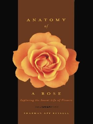 cover image of Anatomy of a Rose